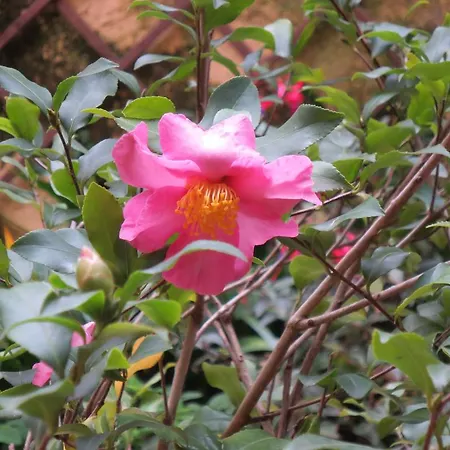 住宿加早餐酒店 第五住宿加早餐酒店