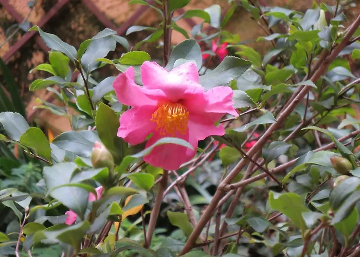 Bed and Breakfast Five